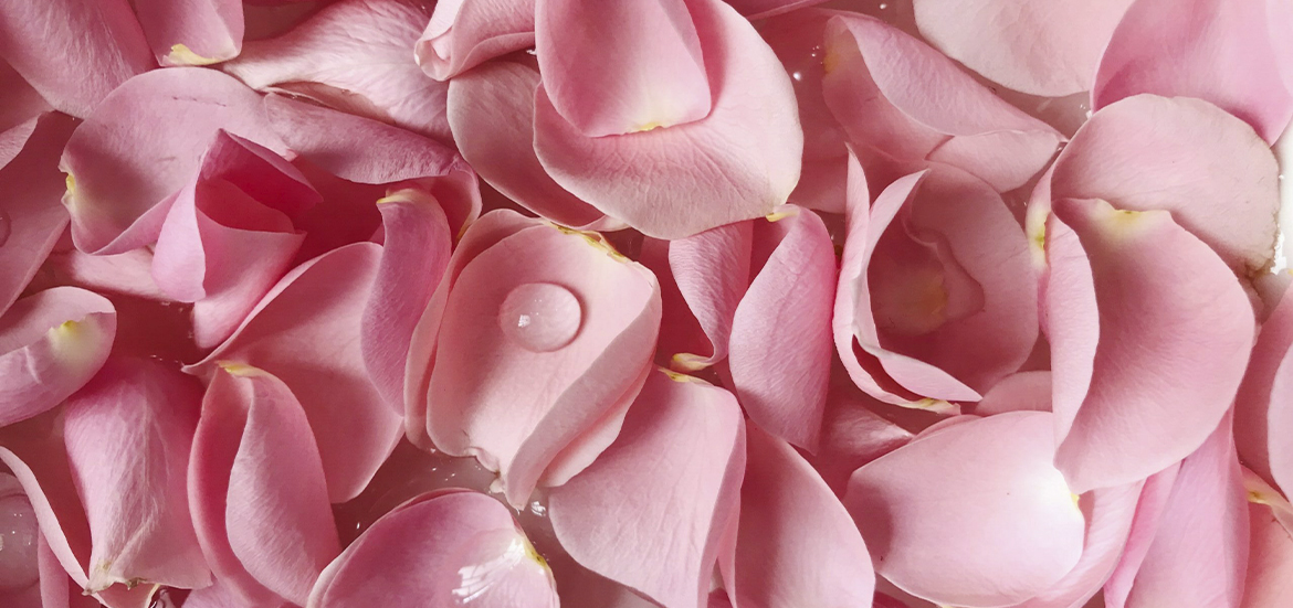 Pick of the Week for Skin and Hair: Rose Water