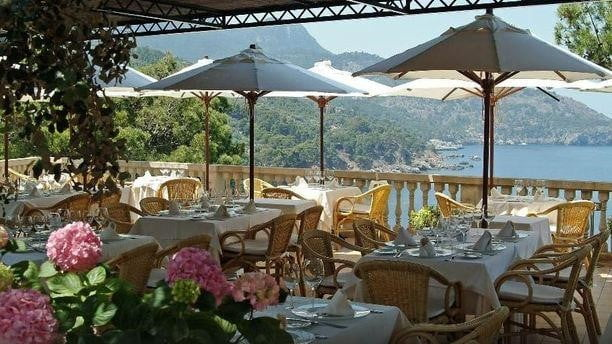 Where to Eat in Mallorca? A Michelin Star Guide